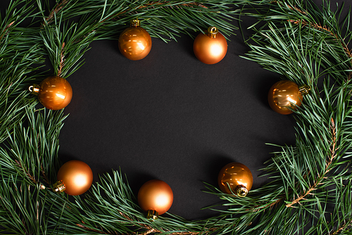 flat lay with golden christmas balls near fir branches on black