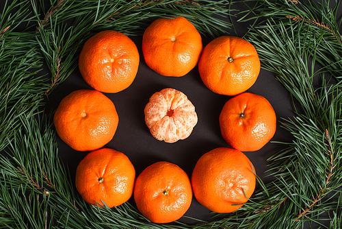 flat lay with ripe tangerines near golden christmas balls near fir branches