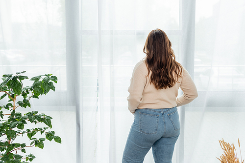 Back view of young woman with overweight standing near window at home