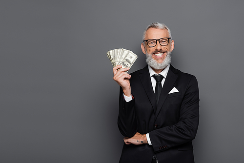 cheerful middle aged businessman holding dollar banknotes on grey