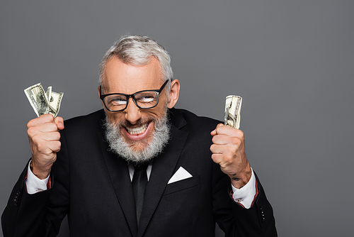 positive middle aged businessman holding dollar banknotes isolated on grey