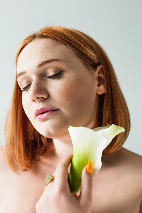 Redhead body positive woman holding calla lily isolated on grey