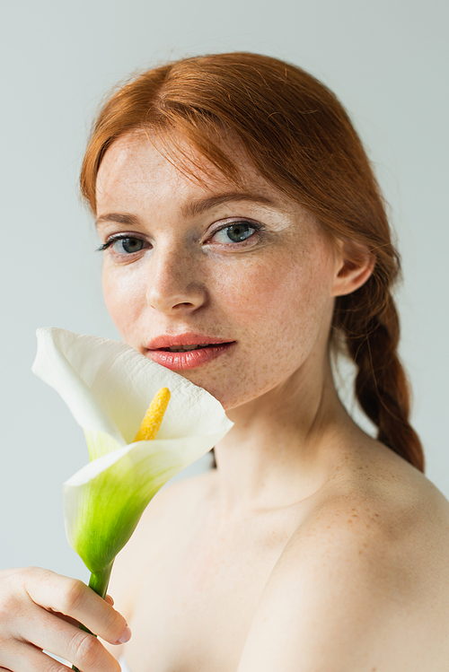 Pretty freckled woman with naked shoulders holding flower isolated on grey