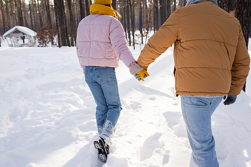 Cropped view of couple holding hands while walking in snow in park