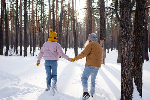 Side view of young couple holding hands in gloves while walking in snowy park