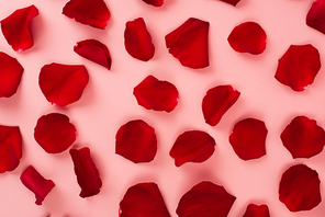 top view of red rose petals on pink background