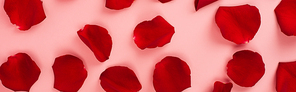 top view of red rose petals on pink background, banner