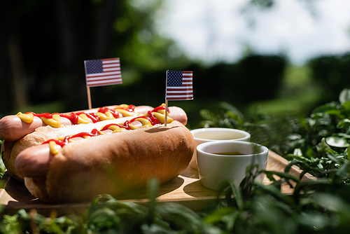 hot dogs with small american flags near ketchup and mustard on green lawn