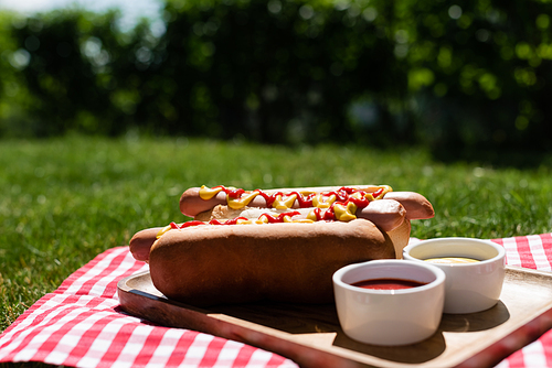 delicious hot dogs near bowls with sauces and plaid table napkin on green lawn