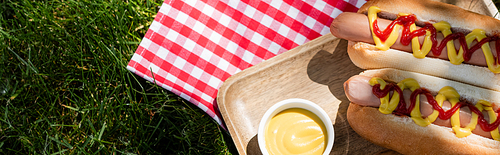 top view of hot dogs and mustard in bowl near plaid table napkin on green grass, banner