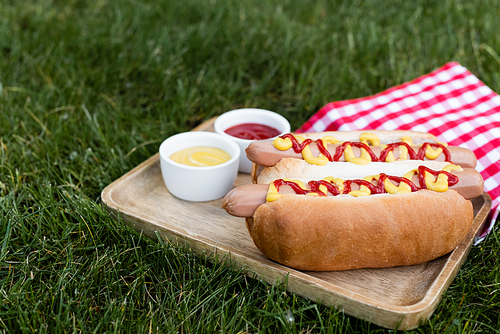 wooden tray with sauce bowls and hot dogs near checkered table napkin on green lawn