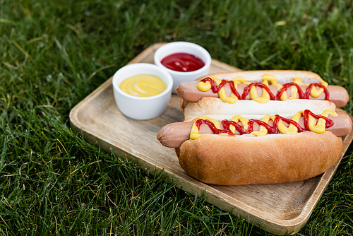 wooden tray with hot dogs, mustard and ketchup on green lawn outdoors