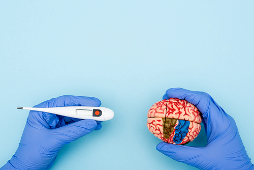 cropped view of doctor with brain model and electronic thermometer on blue