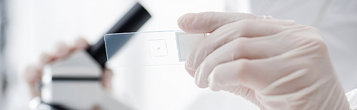 selective focus of laboratory slide in hand of scientist working with blurred microscope, banner