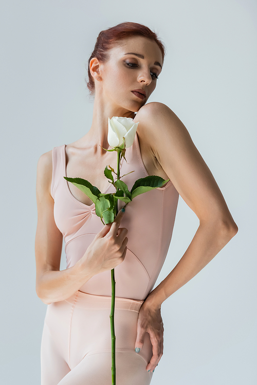 young elegant ballerina in bodysuit holding rose isolated on grey