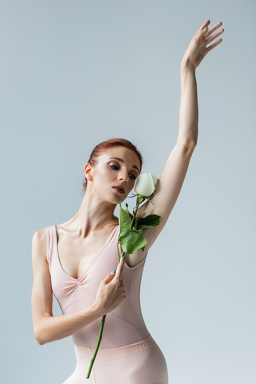 young ballerina in bodysuit holding rose and performing dance isolated on grey