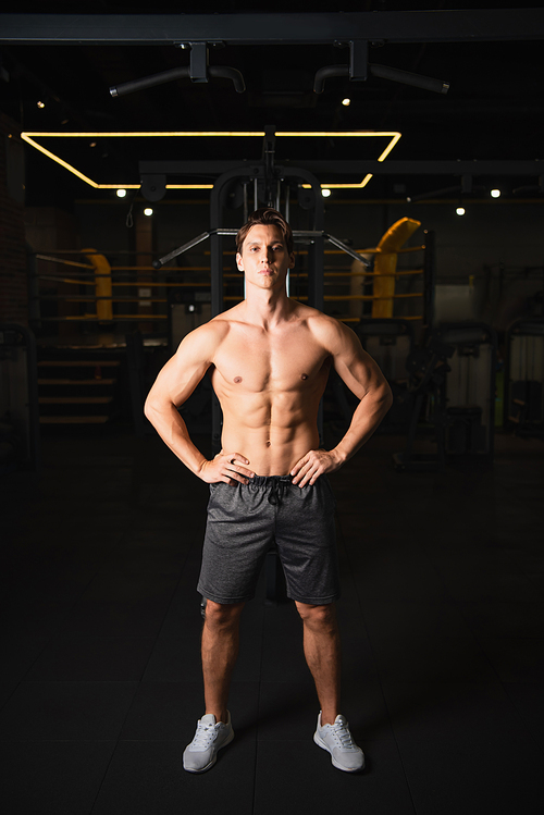 shirtless athletic man standing with hands on hips in sports center