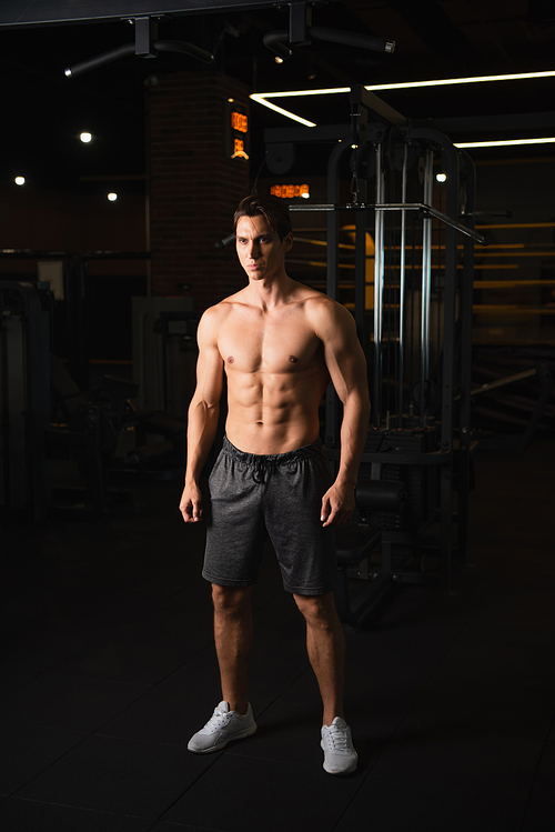 shirtless muscular man in shorts and sneakers looking away while standing in gym