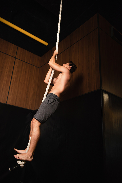 full length view of shirtless barefoot sportsman climbing on gymnastic rope in gym