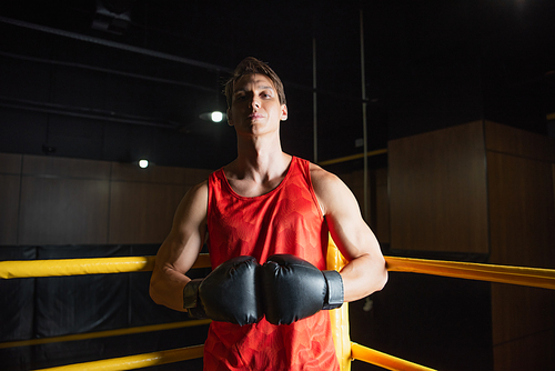 confident sportsman in boxing gloves  while standing in corner of ring