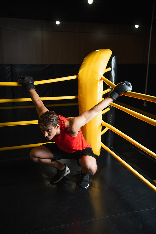 athletic man in sportswear and boxing gloves warming up in boxing ring