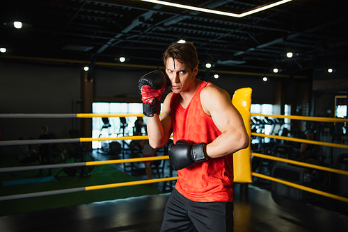 sportive man in boxing gloves training in sports center