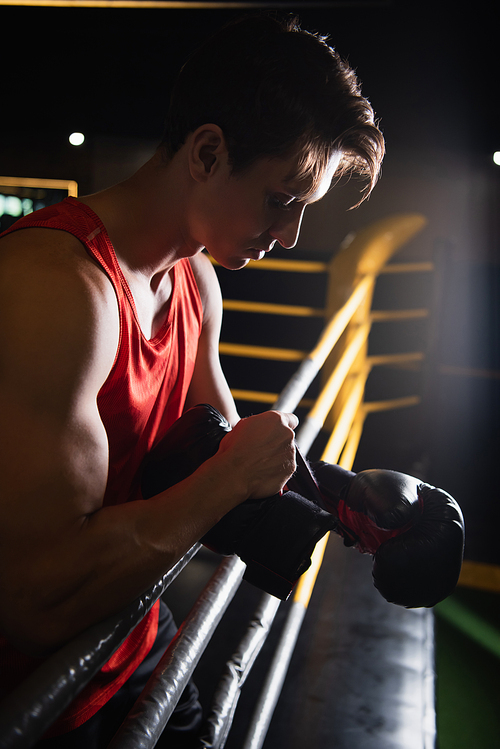 boxer putting on gloves near ropes of boxing ring in sports center