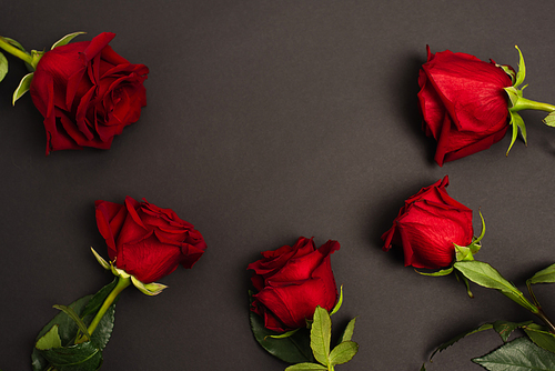 flat lay of red roses on black background