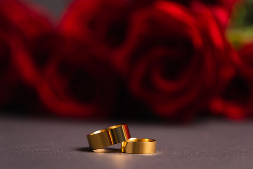 golden wedding rings with blurred roses on background