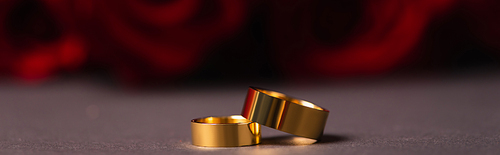 golden wedding rings with blurred roses on background, banner