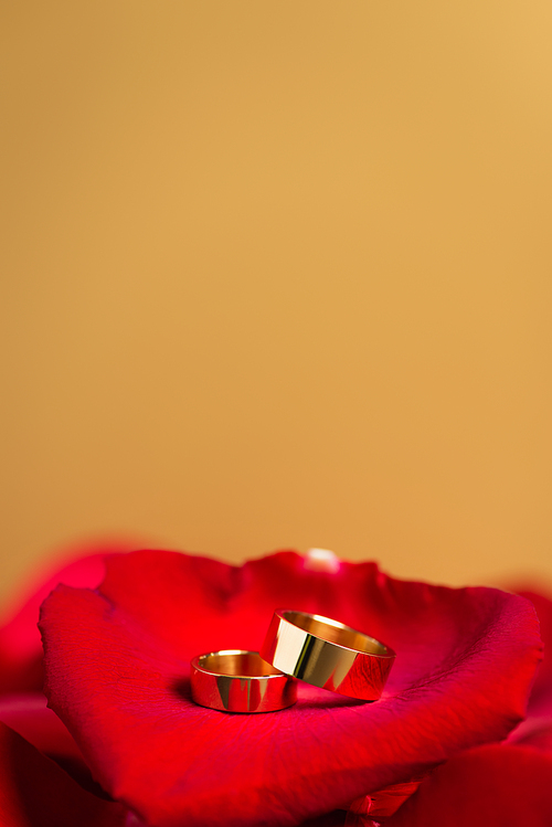 golden wedding rings on red rose petals isolated on yellow