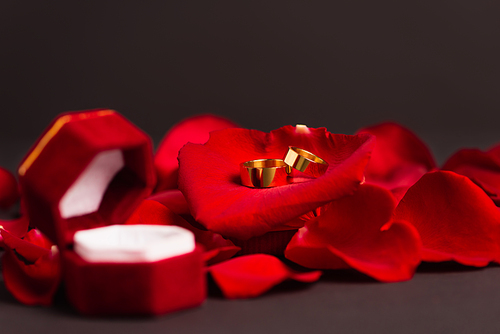 golden wedding rings on red rose petals near blurred jewelry box on grey