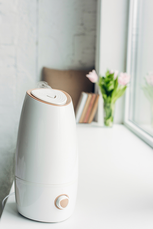 white ultrasonic purifier standing on windowsill with books and flowers