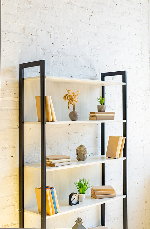 shelves with books, clock, house plants and buddha head