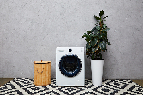 washing machine near green plant, laundry basket and ornamental carpet in modern bathroom