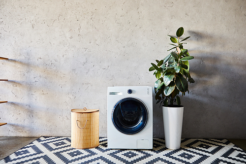 laundry basket near washing machine, green plant and ornamental carpet in modern bathroom