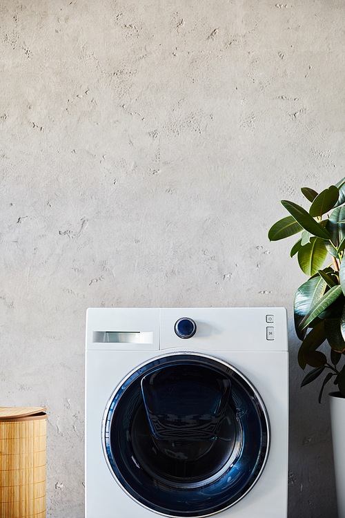 laundry basket near washing machine and green plant in modern bathroom