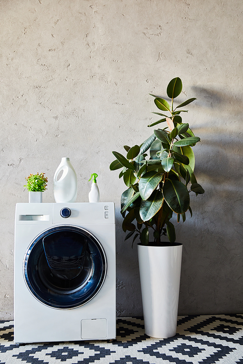 plant and bottles on white washing machine near ornamental carpet in modern bathroom