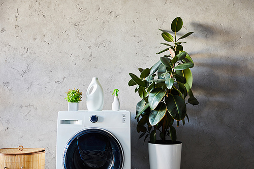 detergent and spray bottles on white washing machine near plant, laundry basket and ornamental carpet in modern bathroom