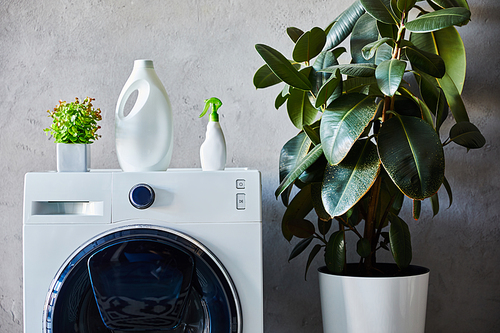 detergent and spray bottles on washing machine near plants in bathroom