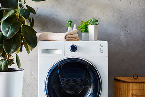 plants, towel and bottles on washing machine near laundry basket in bathroom