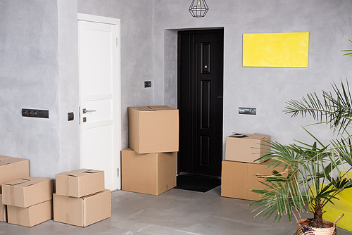 carton boxes near green plant and doors in new apartment, moving concept