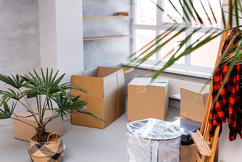selective focus of carton boxes on floor near plants and easel, moving concept