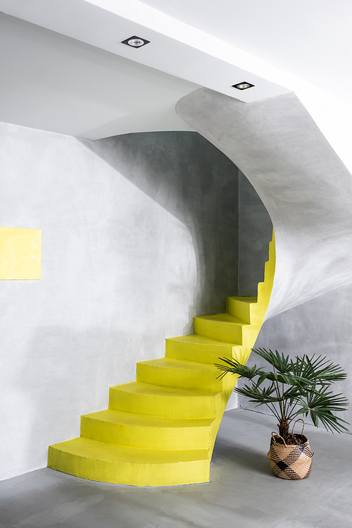 Modern interior with concrete walls and yellow stairs near plant