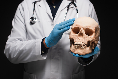 cropped view of blurred physician in latex gloves holding skull isolated on black
