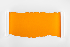 ripped textured white paper with curl edges on orange background