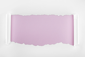 ripped white textured paper with curl edges on light purple background