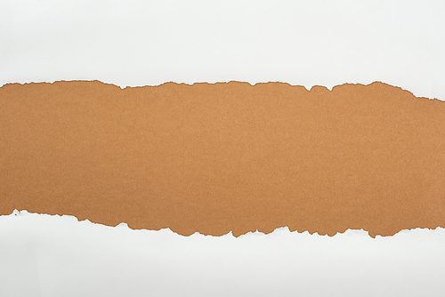 ragged white textured paper with copy space on brown background