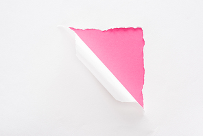 white torn and rolled paper on pink colorful background