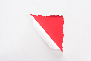 white torn and rolled paper on red colorful background
